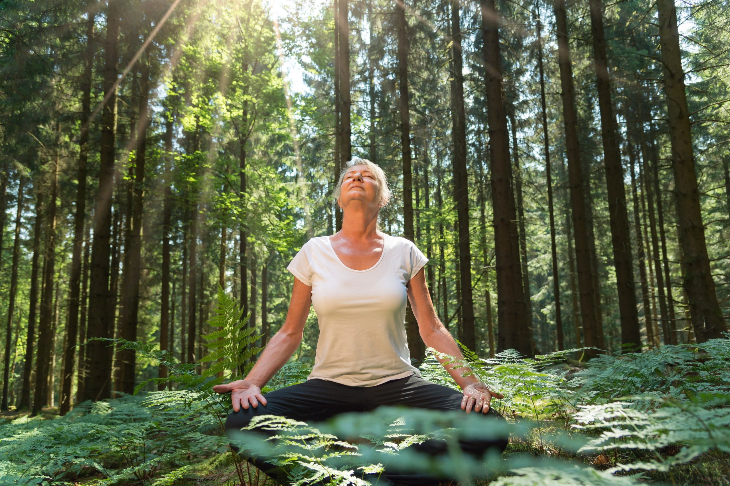 Science of Manifestation