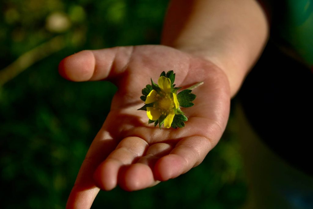 Emotional and Mental Clarity